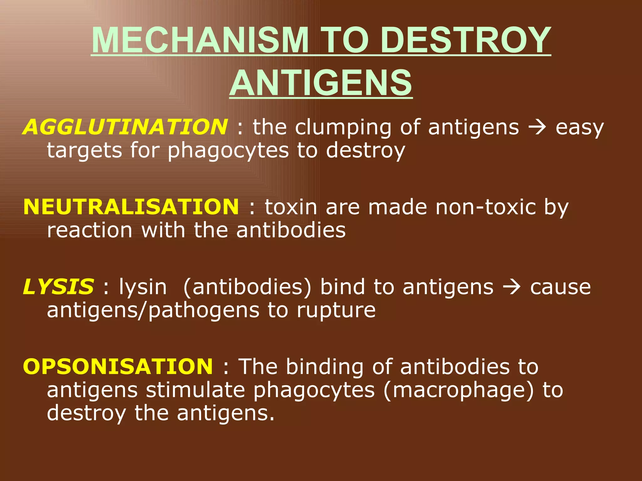 MECHANISM TO DESTROY
           ANTIGENS
AGGLUTINATION : the clumping of antigens  easy
 targets for phagocytes to destroy

NEUTRALISATION : toxin are made non-toxic by
 reaction with the antibodies

LYSIS : lysin (antibodies) bind to antigens  cause
  antigens/pathogens to rupture

OPSONISATION : The binding of antibodies to
 antigens stimulate phagocytes (macrophage) to
 destroy the antigens.
 