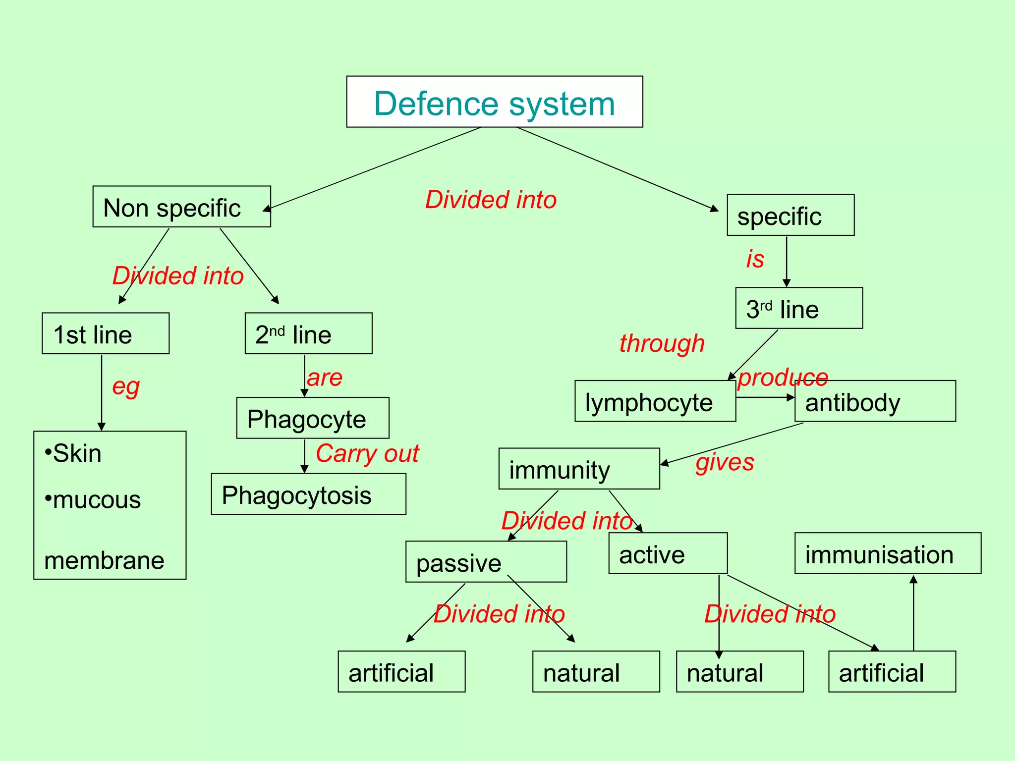 Defence system


        Non specific                      Divided into
                                                                        specific
                                                                         is
        Divided into
                                                                         3rd line
1st line               2nd line                             through
        eg                  are                                      produce
                                                          lymphocyte      antibody
                       Phagocyte
•Skin                       Carry out                               gives
                                                 immunity
•mucous           Phagocytosis
                                                Divided into
membrane                                 passive           active              immunisation

                                           Divided into              Divided into

                                  artificial        natural         natural         artificial
 