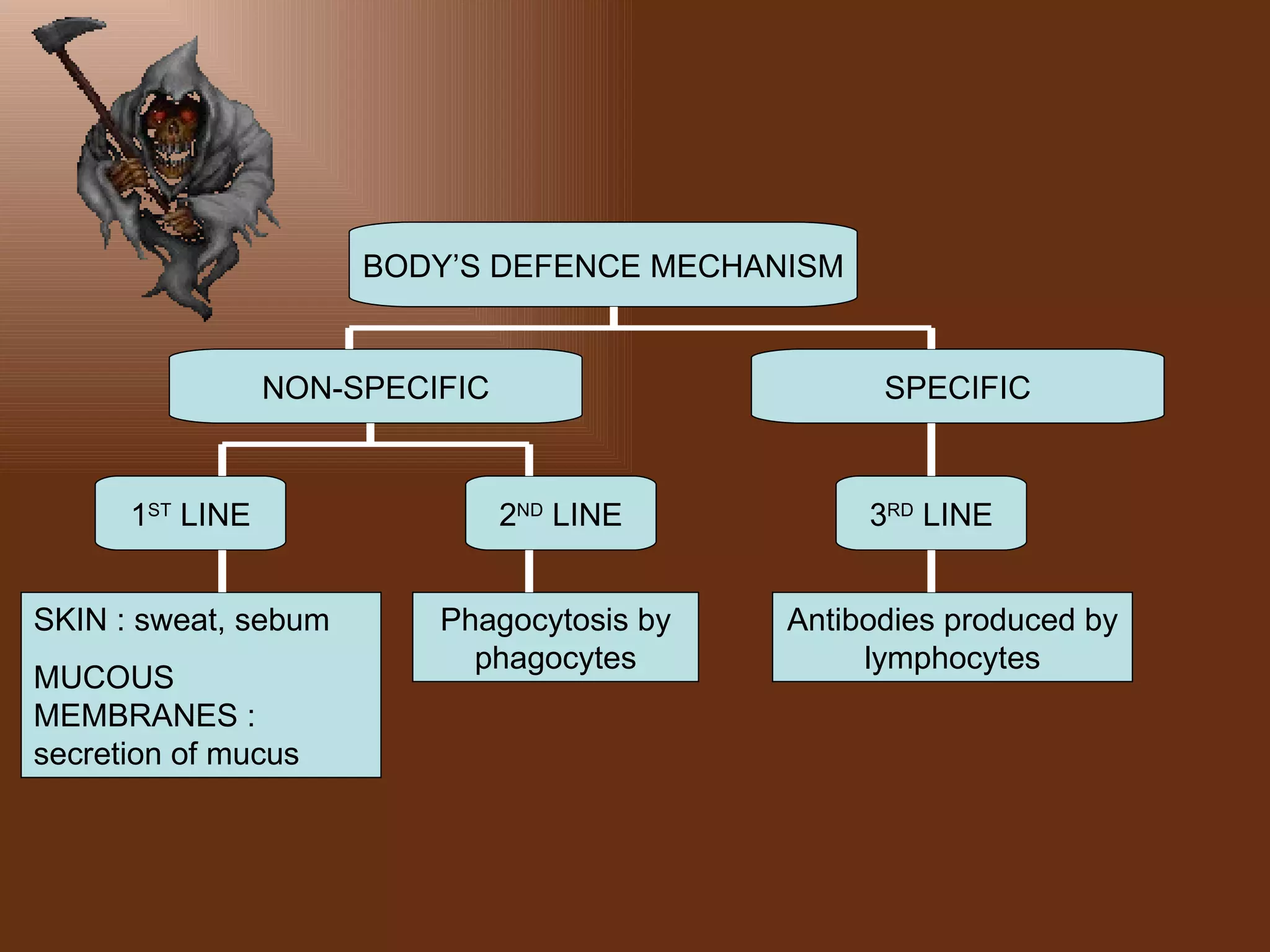 BODY’S DEFENCE MECHANISM


                 NON-SPECIFIC                     SPECIFIC



      1ST LINE                  2ND LINE         3RD LINE


SKIN : sweat, sebum       Phagocytosis by   Antibodies produced by
                            phagocytes           lymphocytes
MUCOUS
MEMBRANES :
secretion of mucus
 