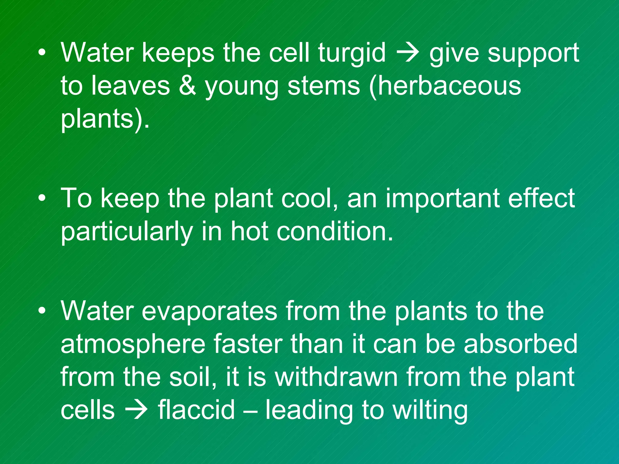 • Water keeps the cell turgid  give support
  to leaves & young stems (herbaceous
  plants).

• To keep the plant cool, an important effect
  particularly in hot condition.

• Water evaporates from the plants to the
  atmosphere faster than it can be absorbed
  from the soil, it is withdrawn from the plant
  cells  flaccid – leading to wilting
 