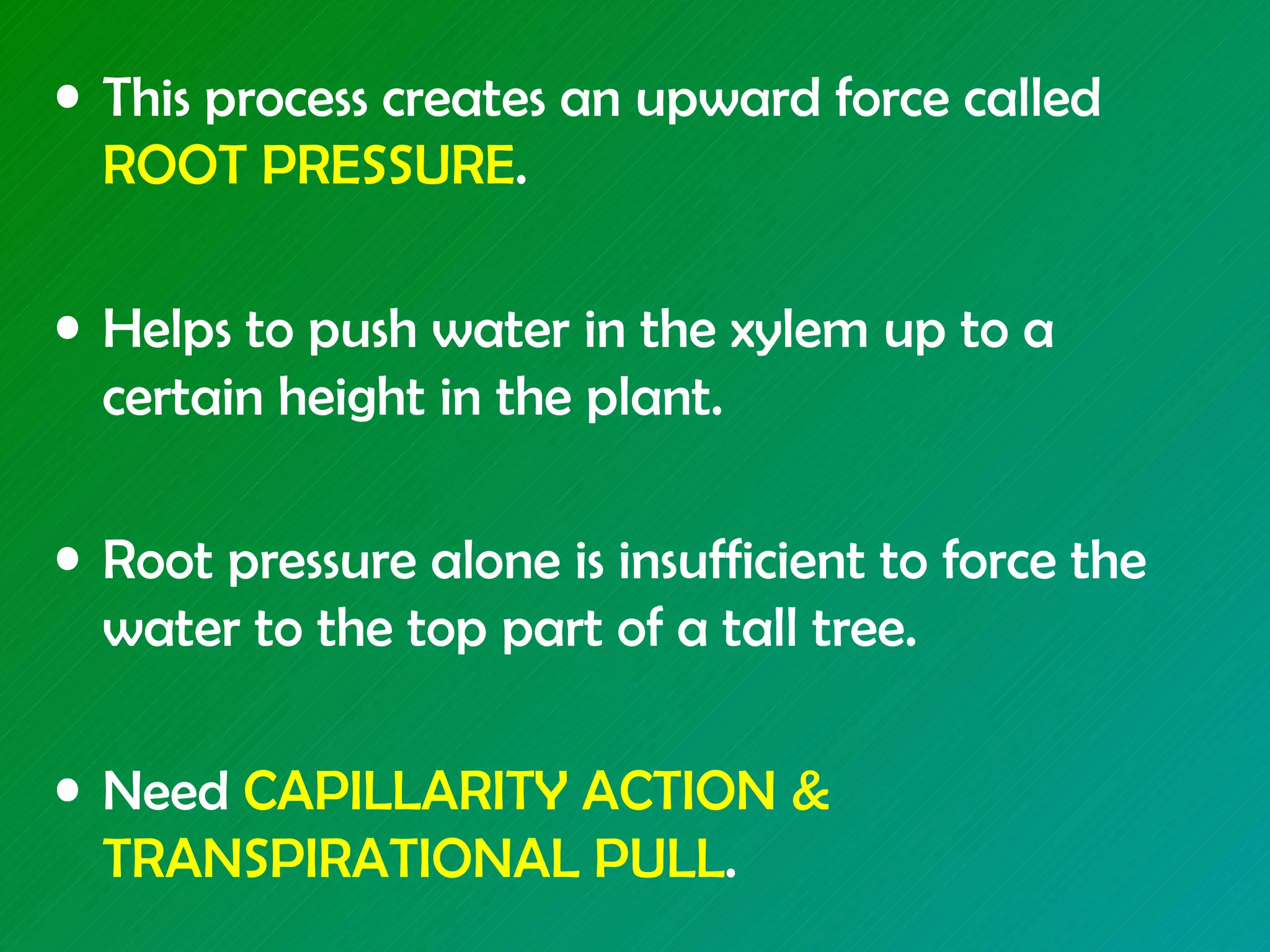 • This process creates an upward force called
  ROOT PRESSURE.

• Helps to push water in the xylem up to a
  certain height in the plant.

• Root pressure alone is insufficient to force the
  water to the top part of a tall tree.

• Need CAPILLARITY ACTION &
  TRANSPIRATIONAL PULL.
 