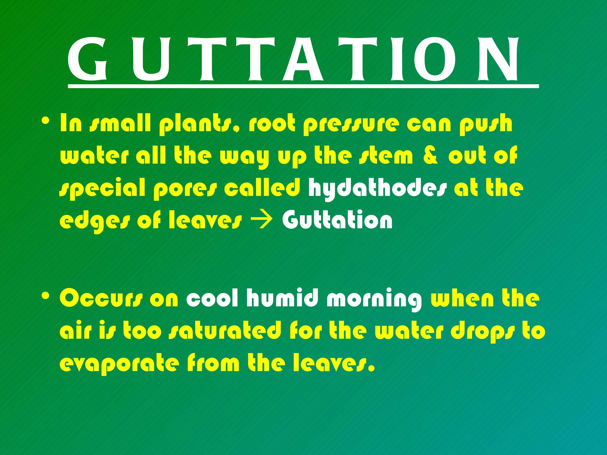 G U T T A T IO N
• In small plants, root pressure can push
  water all the way up the stem & out of
  special pores called hydathodes at the
  edges of leaves  Guttation

• Occurs on cool humid morning when the
  air is too saturated for the water drops to
  evaporate from the leaves.
 