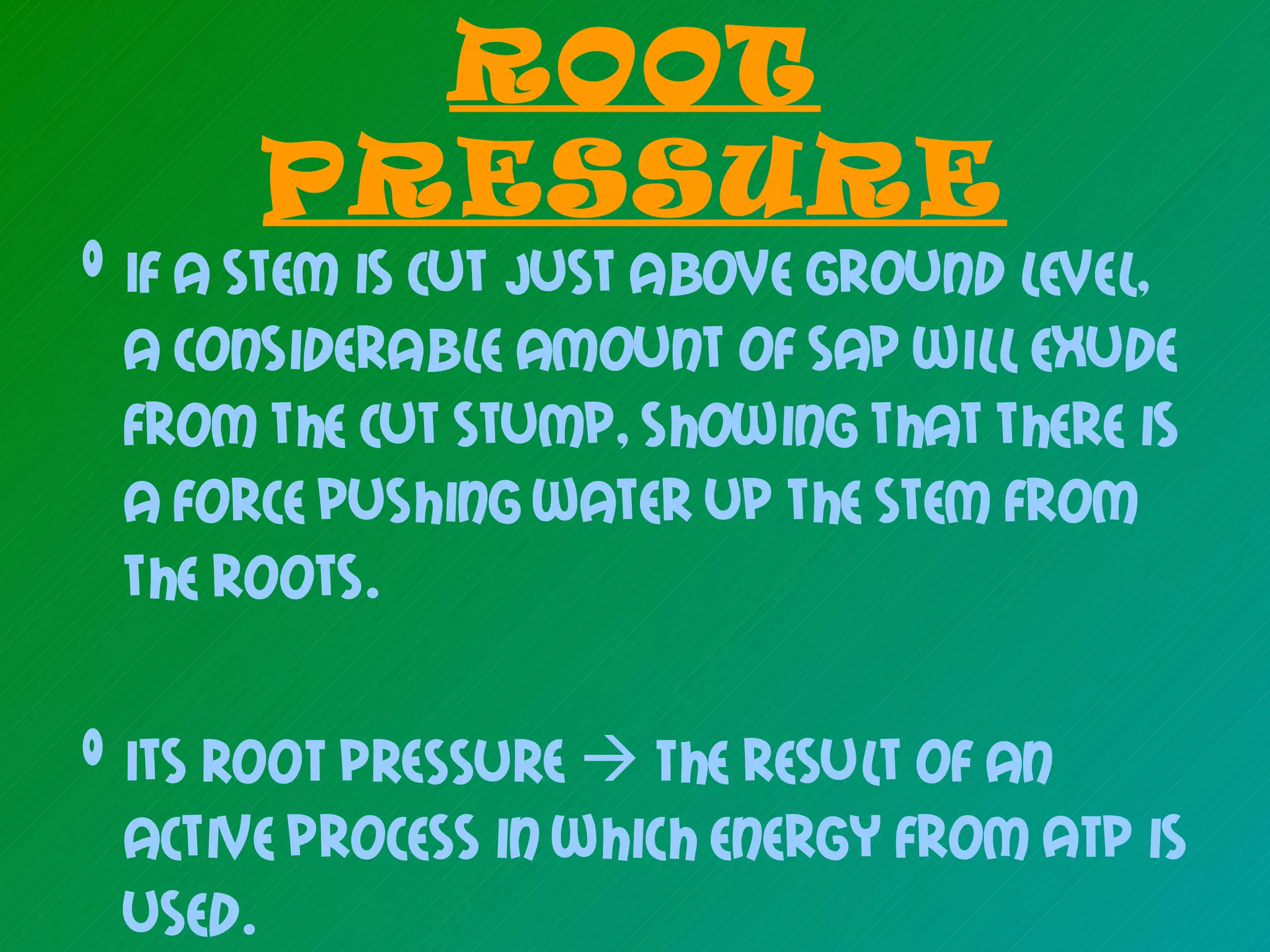 ROOT
       PRESSURE
• If a stem is cut just above ground level,
  a considerable amount of sap will exude
  from the cut stump, showing that there is
  a force pushing water up the stem from
  the roots.

• Its ROOT PRESSURE  The result of an
  active process in which energy from ATP is
  used.
 