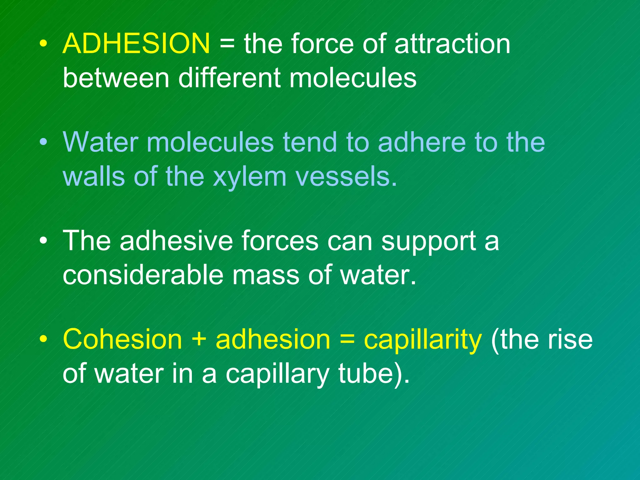• ADHESION = the force of attraction
  between different molecules

• Water molecules tend to adhere to the
  walls of the xylem vessels.

• The adhesive forces can support a
  considerable mass of water.

• Cohesion + adhesion = capillarity (the rise
  of water in a capillary tube).
 