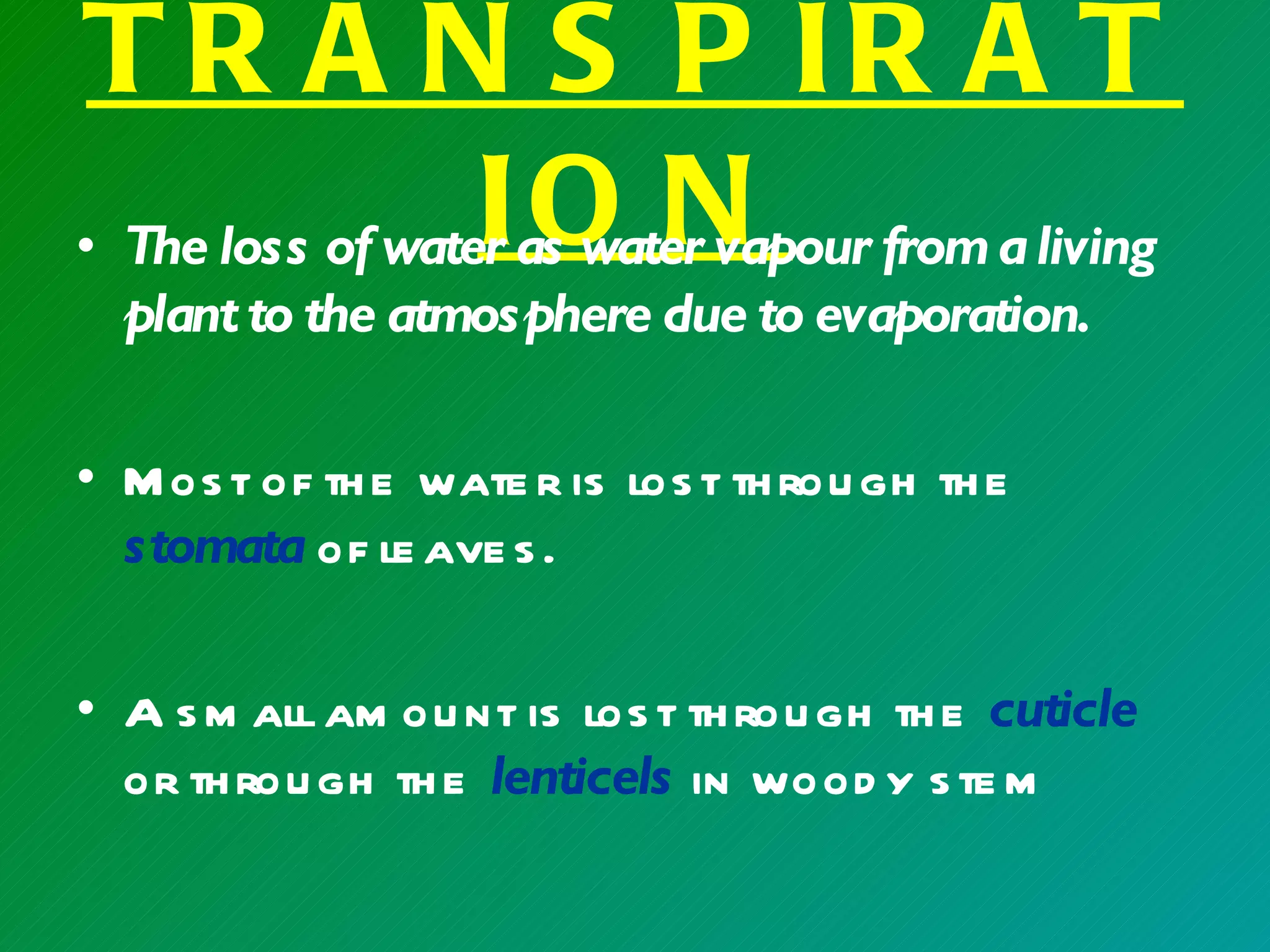 T R A N S P IR A T
                  IO N
• The loss of water as water vapour from a living
  plant to the atmosphere due to evaporation.

• M os t of th e wate r is los t th rou gh th e
  stomata of le ave s .

• A s m all am ou nt is los t th rou gh th e cuticle
  or th rou gh th e lenticels in wood y s te m
 