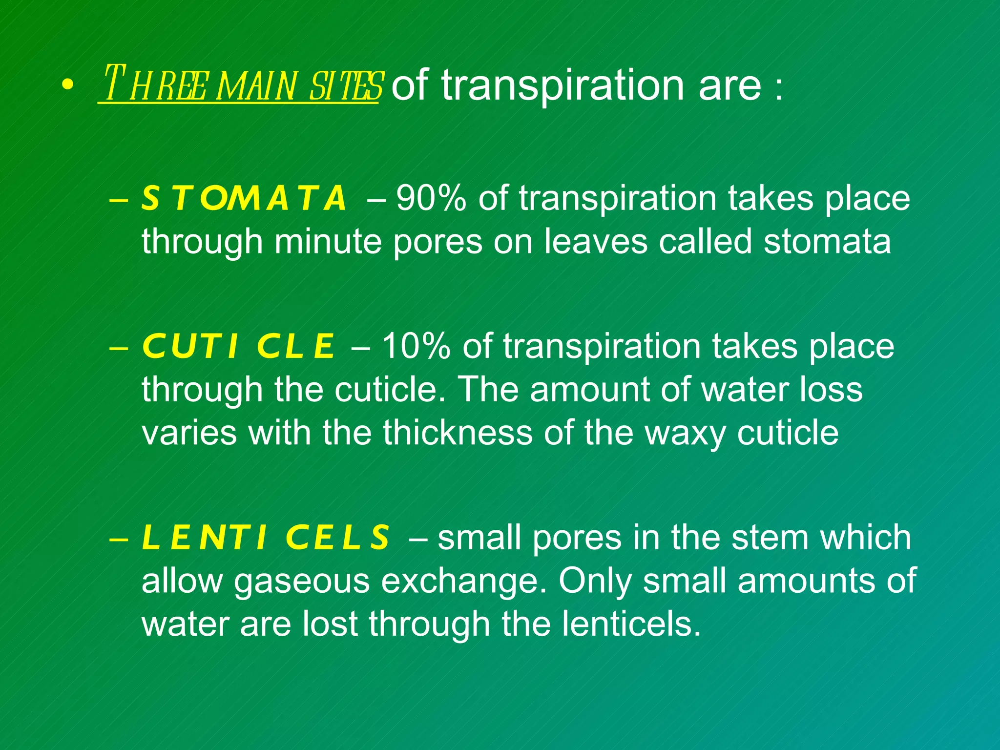 • T hree main sites of transpiration are :

  – S T OM A T A – 90% of transpiration takes place
    through minute pores on leaves called stomata

  – C UT I C L E – 10% of transpiration takes place
    through the cuticle. The amount of water loss
    varies with the thickness of the waxy cuticle

  – L E NT I C E L S – small pores in the stem which
    allow gaseous exchange. Only small amounts of
    water are lost through the lenticels.
 