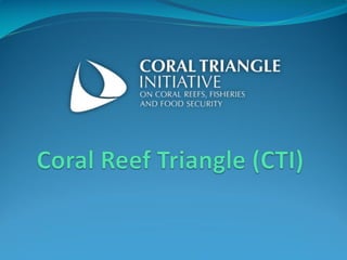 Regional Initiatives and Cooperation