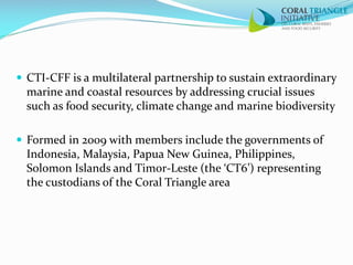 Regional Initiatives and Cooperation