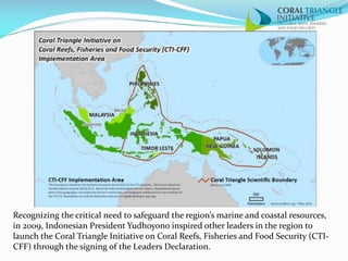 Regional Initiatives and Cooperation