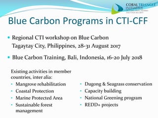 Regional Initiatives and Cooperation