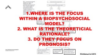 Klintberg et al 2015
1.WHERE IS THE FOCUS
WITHIN A BIOPSYCHOSOCIAL
MODEL?
2. WHAT IS THE THEORETICIAL
RATIONALE?
3. DO THEY FOCUS ON
PROGNOSIS?
 