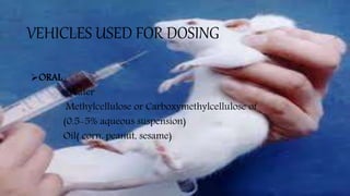 VEHICLES USED FOR DOSING
ORAL :
Water
Methylcellulose or Carboxymethylcellulose of
(0.5-5% aqueous suspension)
Oil( corn, peanut, sesame)
 