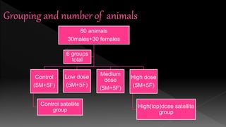 60 animals
30males+30 females
Control
(5M+5F)
Control satellite
group
Low dose
(5M+5F)
Medium
dose
(5M+5F)
High dose
(5M+5F)
High(top)dose satellite
group
6 groups
total
 