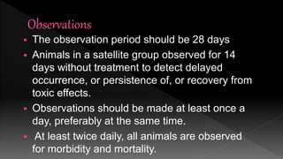  The observation period should be 28 days
 Animals in a satellite group observed for 14
days without treatment to detect delayed
occurrence, or persistence of, or recovery from
toxic effects.
 Observations should be made at least once a
day, preferably at the same time.
 At least twice daily, all animals are observed
for morbidity and mortality.
 
