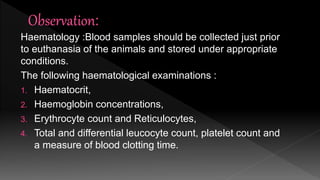 Haematology :Blood samples should be collected just prior
to euthanasia of the animals and stored under appropriate
conditions.
The following haematological examinations :
1. Haematocrit,
2. Haemoglobin concentrations,
3. Erythrocyte count and Reticulocytes,
4. Total and differential leucocyte count, platelet count and
a measure of blood clotting time.
 