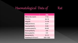 Rat
RBC(x10v /mm³) 7-10
PCV(%) 36-18
Hb(g/dl) 11-18
WBC(X10³/m³) 6-17
Neutrophils(%) 9-34
Lymphocytes(%) 65-85
Eosinophils(%) 0-6
Monocytes(%) 0-5
Basophils(%) 0-1.5
Platelets(X10³/mm³) 500-1300
 