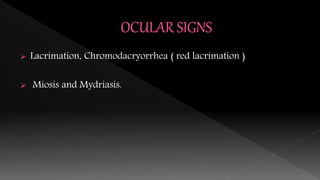  Lacrimation, Chromodacryorrhea ( red lacrimation )
 Miosis and Mydriasis.
 