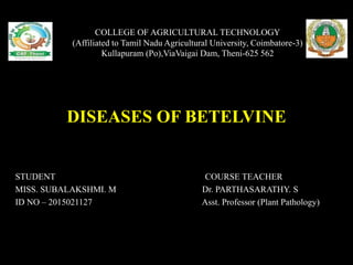 DISEASES OF BETELVINE
STUDENT COURSE TEACHER
MISS. SUBALAKSHMI. M Dr. PARTHASARATHY. S
ID NO – 2015021127 Asst. Professor (Plant Pathology)
COLLEGE OF AGRICULTURAL TECHNOLOGY
(Affiliated to Tamil Nadu Agricultural University, Coimbatore-3)
Kullapuram (Po),ViaVaigai Dam, Theni-625 562
 