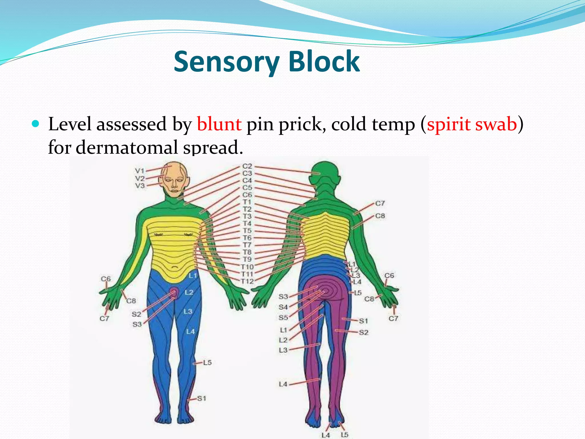 Sensory Block
 Level assessed by blunt pin prick, cold temp (spirit swab)
for dermatomal spread.
 