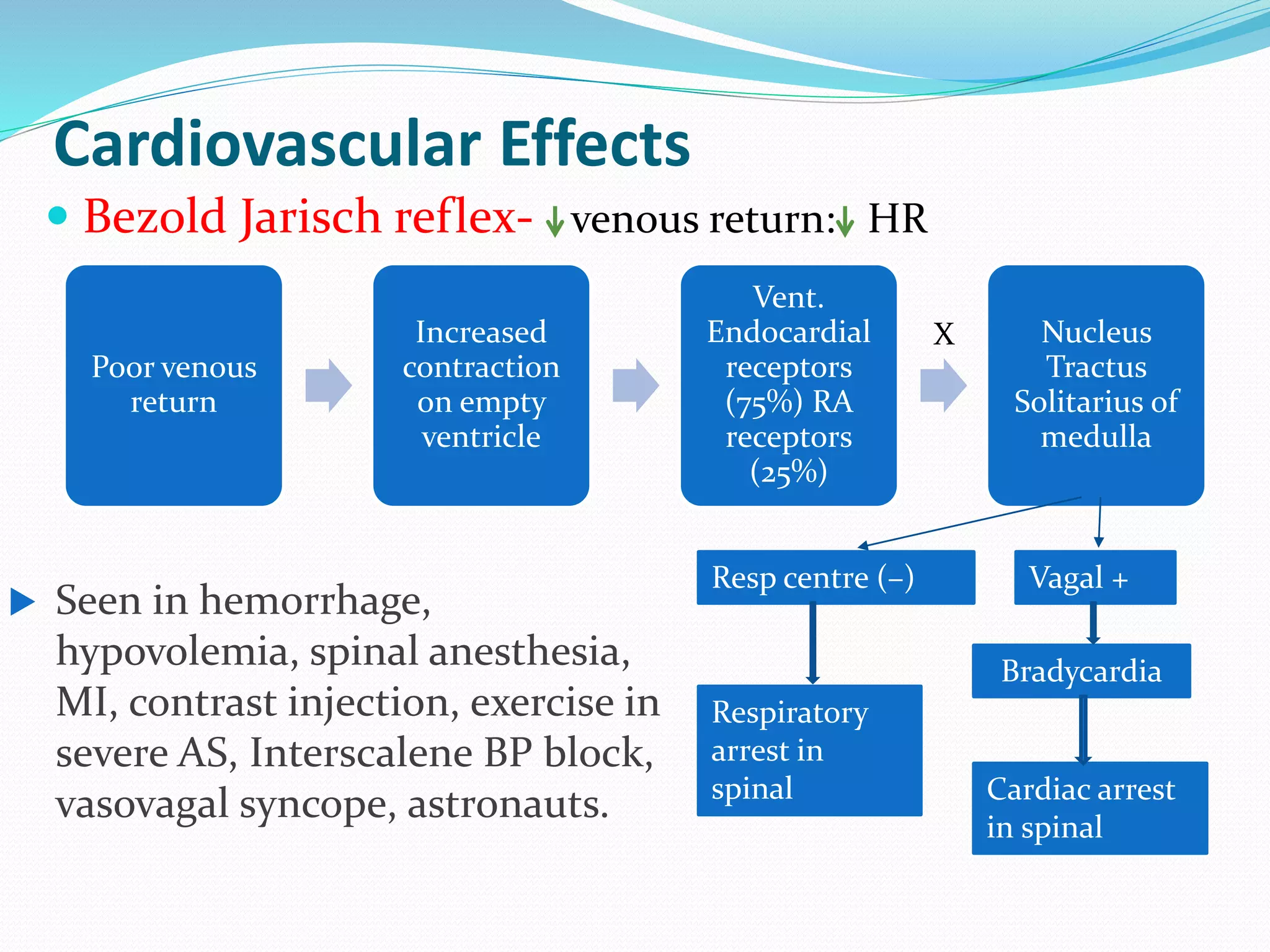 Cardiovascular Effects
 Bezold Jarisch reflex- venous return: HR
Poor venous
return
Increased
contraction
on empty
ventricle
Vent.
Endocardial
receptors
(75%) RA
receptors
(25%)
Nucleus
Tractus
Solitarius of
medulla
X
Vagal +
Bradycardia
Cardiac arrest
in spinal
Resp centre (–)
Respiratory
arrest in
spinal
 Seen in hemorrhage,
hypovolemia, spinal anesthesia,
MI, contrast injection, exercise in
severe AS, Interscalene BP block,
vasovagal syncope, astronauts.
 