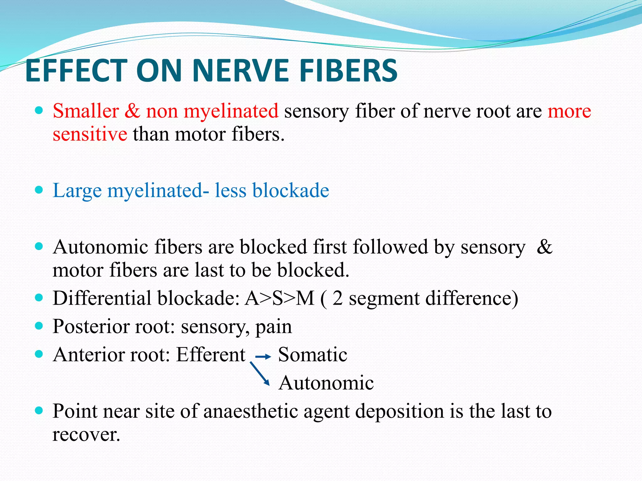 EFFECT ON NERVE FIBERS
 Smaller & non myelinated sensory fiber of nerve root are more
sensitive than motor fibers.
 Large myelinated- less blockade
 Autonomic fibers are blocked first followed by sensory &
motor fibers are last to be blocked.
 Differential blockade: A>S>M ( 2 segment difference)
 Posterior root: sensory, pain
 Anterior root: Efferent Somatic
Autonomic
 Point near site of anaesthetic agent deposition is the last to
recover.
 
