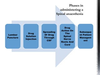 Lumbar
Puncture
Drug
Solution
Injection
Spreading
Of Drug
Through
CSF
Drug
Action On
The
Spinal
Nerve
Roots And
Cord
Subseque
nt Patient
Managem
ent
 