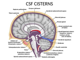 SUBARACHNOID SPACES - the CSF Cisterns.pptx