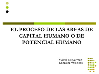 Yudith del Carmen  González Valecillos EL PROCESO DE LAS AREAS DE CAPITAL HUMANO O DE POTENCIAL HUMANO 