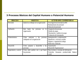 3 Procesos Básicos del Capital Humano o Potencial Humano 