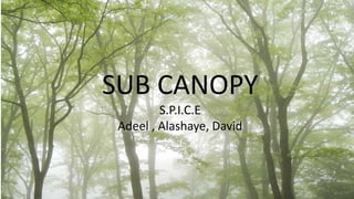 SUB CANOPY
S.P.I.C.E
Adeel , Alashaye, David
 