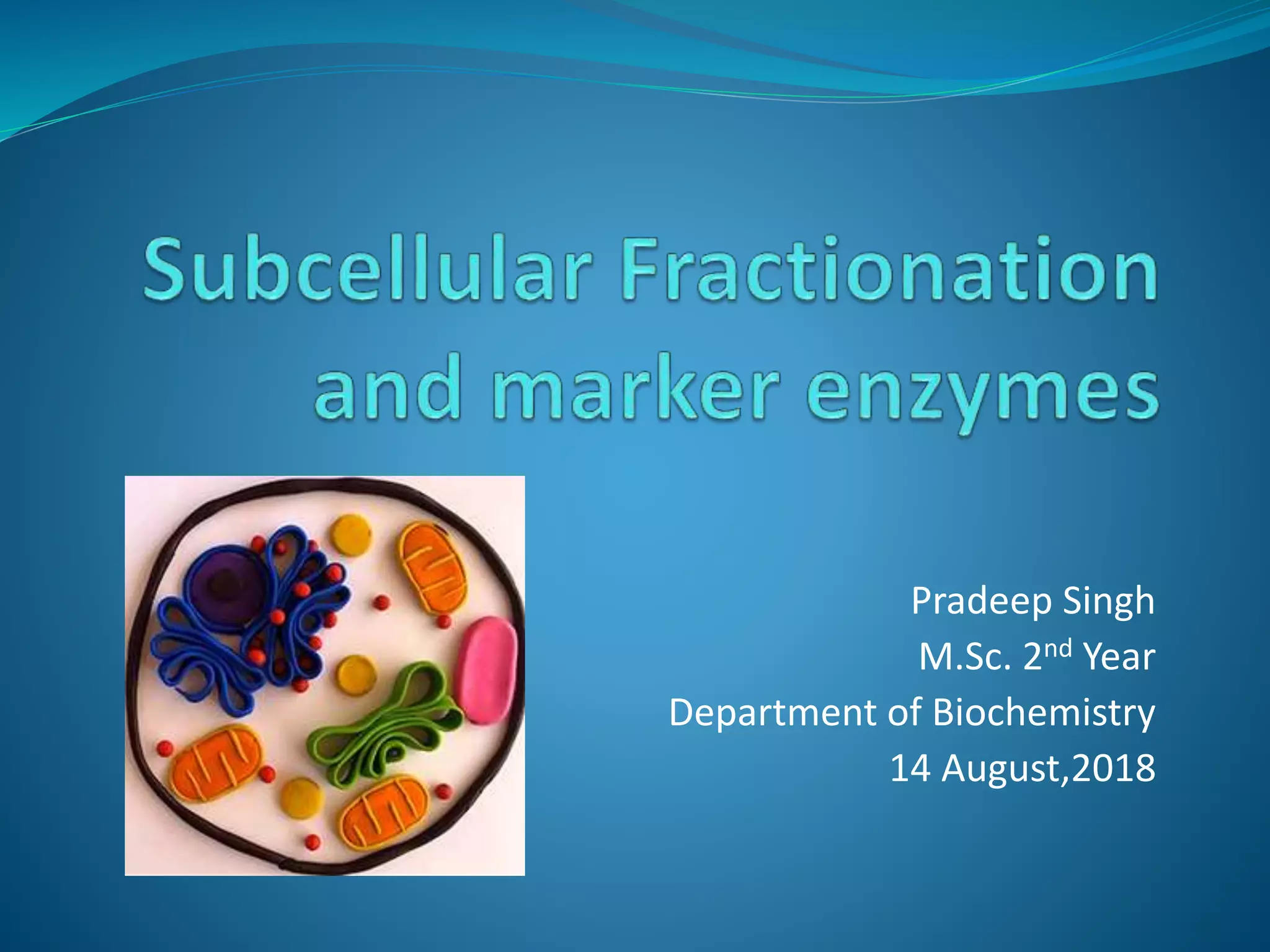 Subcellular fractionation and marker proteins | PPTX