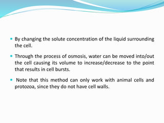  By changing the solute concentration of the liquid surrounding
the cell.
 Through the process of osmosis, water can be moved into/out
the cell causing its volume to increase/decrease to the point
that results in cell bursts.
 Note that this method can only work with animal cells and
protozoa, since they do not have cell walls.
 