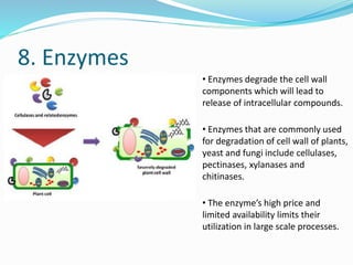 8. Enzymes
• Enzymes degrade the cell wall
components which will lead to
release of intracellular compounds.
• Enzymes that are commonly used
for degradation of cell wall of plants,
yeast and fungi include cellulases,
pectinases, xylanases and
chitinases.
• The enzyme’s high price and
limited availability limits their
utilization in large scale processes.
 