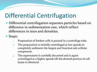 Differential Centrifugation
 Differential centrifugation separates particles based on
difference in sedimentation rate, which reflect
differences in sizes and densities.
 Steps:
1. Preparation of broken cells is poured in a centrifuge tube.
2. The preparation is initially centrifuged at low speeds to
completely sediment the largest and heaviest sub-cellular
component.
3. The supernatent is carefully decanted and is again
centrifuged at a higher speeds till the desired portion of cell
lysate is obtained.
 