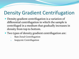 Density Gradient Centrifugation
 Density gradient centrifugation is a variation of
differential centrifugation in which the sample is
centrifuged in a medium that gradually increases in
density from top to bottom.
 Two types of density gradient centrifugation are:
1. Rate Zonal Centrifugation
2. Isopycnic Centrifugation
 