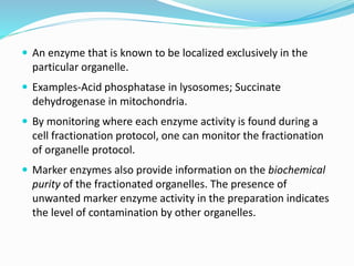  An enzyme that is known to be localized exclusively in the
particular organelle.
 Examples-Acid phosphatase in lysosomes; Succinate
dehydrogenase in mitochondria.
 By monitoring where each enzyme activity is found during a
cell fractionation protocol, one can monitor the fractionation
of organelle protocol.
 Marker enzymes also provide information on the biochemical
purity of the fractionated organelles. The presence of
unwanted marker enzyme activity in the preparation indicates
the level of contamination by other organelles.
 