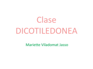 Clase
DICOTILEDONEA
  Mariette Viladomat Jasso
 
