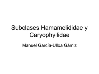Subclases Hamamelididae y
      Caryophyllidae
   Manuel García-Ulloa Gámiz
 