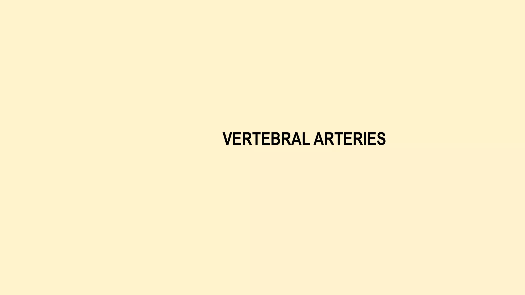 VERTEBRAL ARTERIES
 
