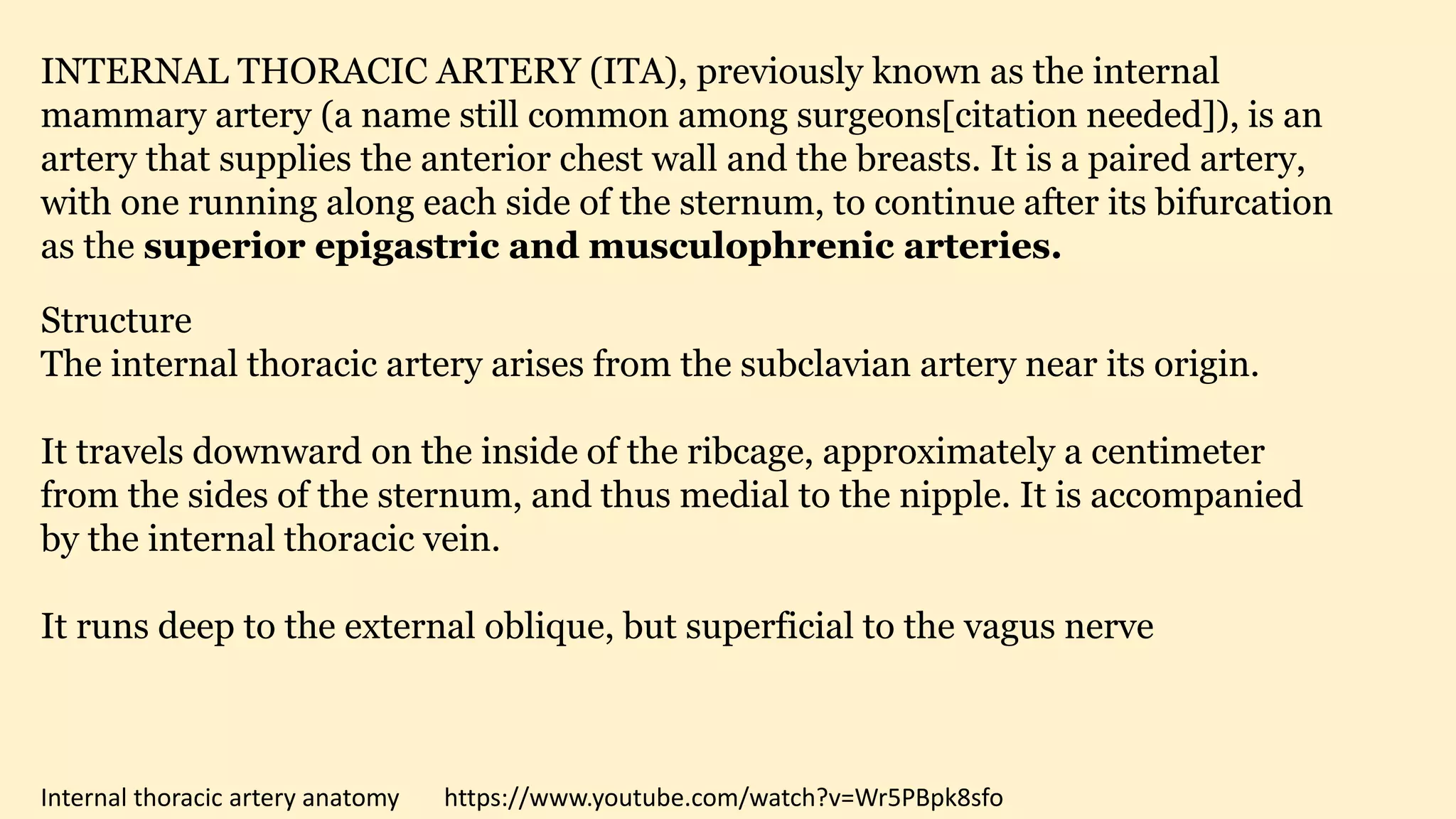 Internal thoracic artery anatomy https://www.youtube.com/watch?v=Wr5PBpk8sfo
INTERNAL THORACIC ARTERY (ITA), previously known as the internal
mammary artery (a name still common among surgeons[citation needed]), is an
artery that supplies the anterior chest wall and the breasts. It is a paired artery,
with one running along each side of the sternum, to continue after its bifurcation
as the superior epigastric and musculophrenic arteries.
Structure
The internal thoracic artery arises from the subclavian artery near its origin.
It travels downward on the inside of the ribcage, approximately a centimeter
from the sides of the sternum, and thus medial to the nipple. It is accompanied
by the internal thoracic vein.
It runs deep to the external oblique, but superficial to the vagus nerve
 