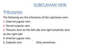 The following are the tributaries of the subclavian vein:
1. External jugular vein.
2. Dorsal scapular vein.
3. Thoracic duct on the left side and right lymphatic duct
on the right side
4. Anterior jugular vein.
5. Cephalic vein. Only sometimes
 