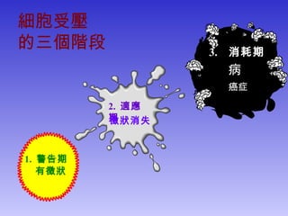 1. 警告期
2. 適應
期徵狀消失
病
癌症
有徵狀
3. 消耗期
細胞受壓
的三個階段
 