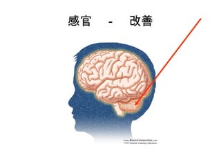 感官　－　改善
 