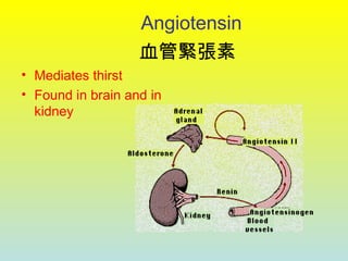 Angiotensin
• Mediates thirst
• Found in brain and in
kidney
血管緊張素
 
