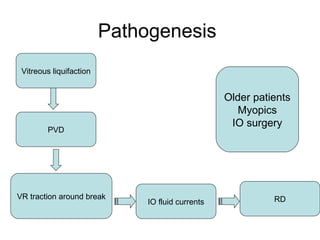 Pathogenesis
Vitreous liquifaction
VR traction around break
PVD
IO fluid currents RD
Older patients
Myopics
IO surgery
 