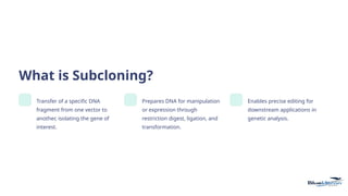 Subcloning-Vectors-Tools-for-Genetic-Engineering.pptx