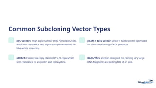 Subcloning-Vectors-Tools-for-Genetic-Engineering.pptx