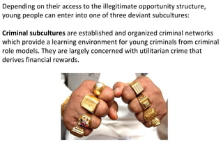 Depending on their access to the illegitimate opportunity structure,
young people can enter into one of three deviant subcultures:

Criminal subcultures are established and organized criminal networks
which provide a learning environment for young criminals from criminal
role models. They are largely concerned with utilitarian crime that
derives financial rewards.
 