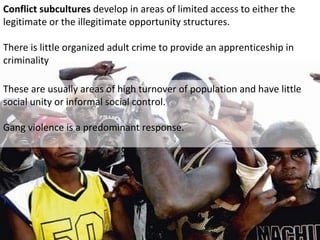 Conflict subcultures develop in areas of limited access to either the
legitimate or the illegitimate opportunity structures.

There is little organized adult crime to provide an apprenticeship in
criminality

These are usually areas of high turnover of population and have little
social unity or informal social control.

Gang violence is a predominant response.
 