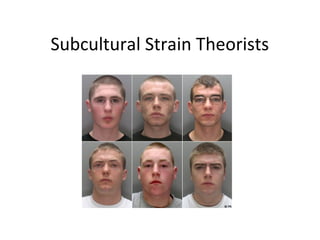 Subcultural Strain Theorists
 
